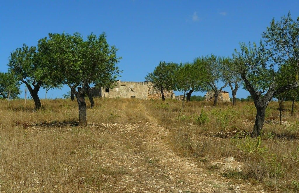 finca-coco-parisienne